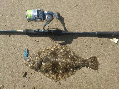 ソゲの釣果