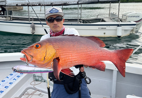 バラフエダイの釣果