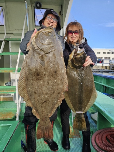 ヒラメの釣果