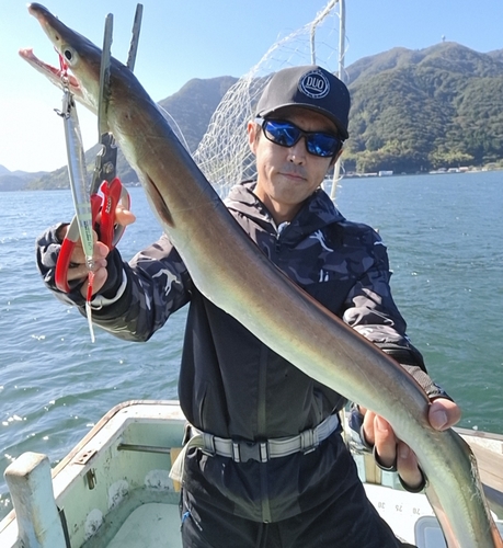 ハモの釣果