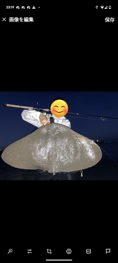 ツバクロエイの釣果