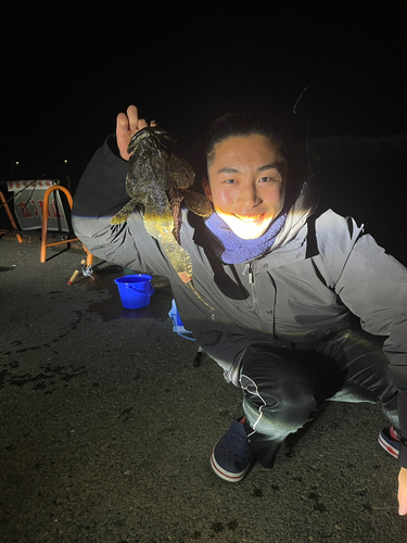 ギスカジカの釣果