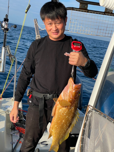 アコウの釣果