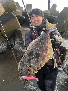 ヒラメの釣果