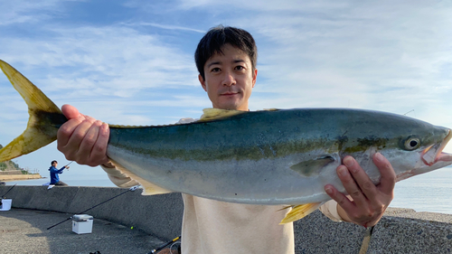 ブリの釣果