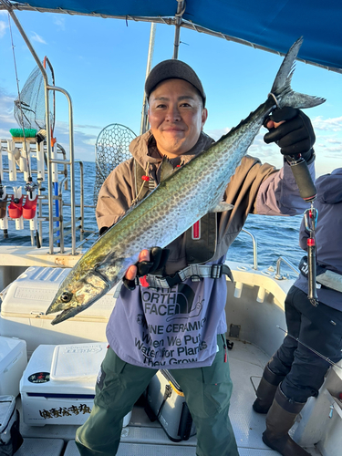 サワラの釣果