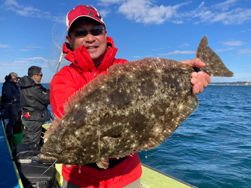 ヒラメの釣果