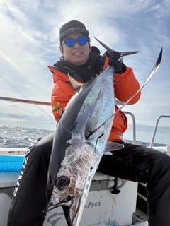 ビンチョウマグロの釣果