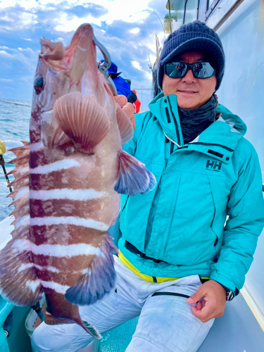 マハタの釣果