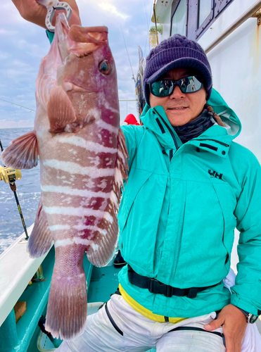 マハタの釣果