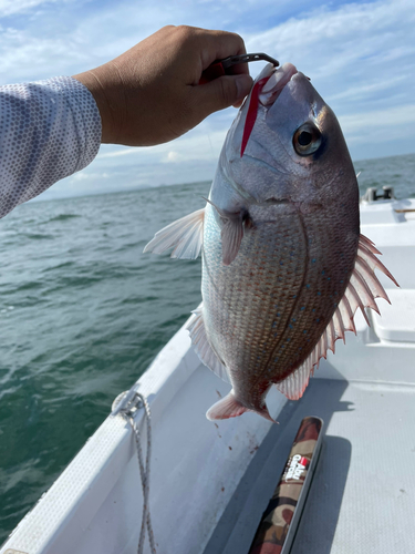 タイの釣果