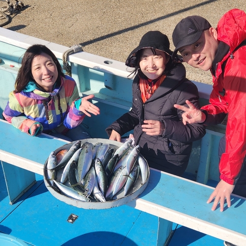 サバの釣果