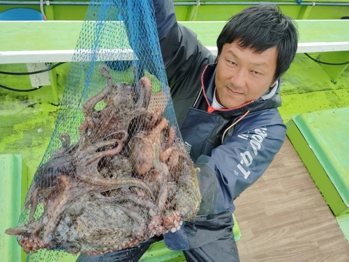 マダコの釣果