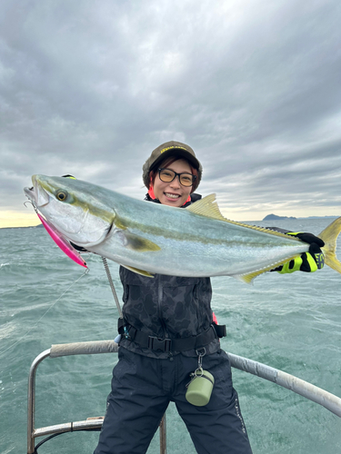 ワラサの釣果