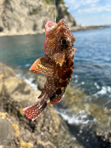 江ノ島表磯