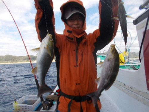 カンパチの釣果