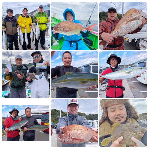 マダイの釣果