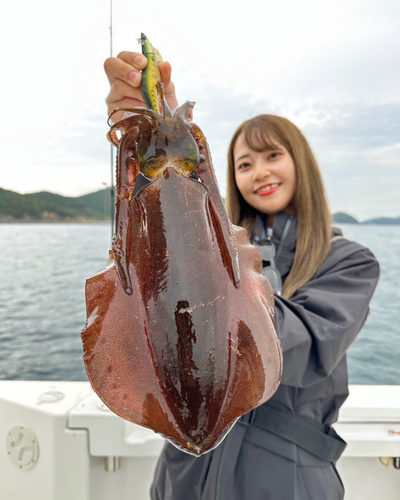 アオリイカの釣果