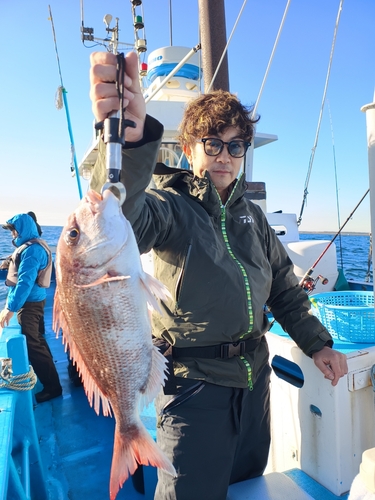 マダイの釣果