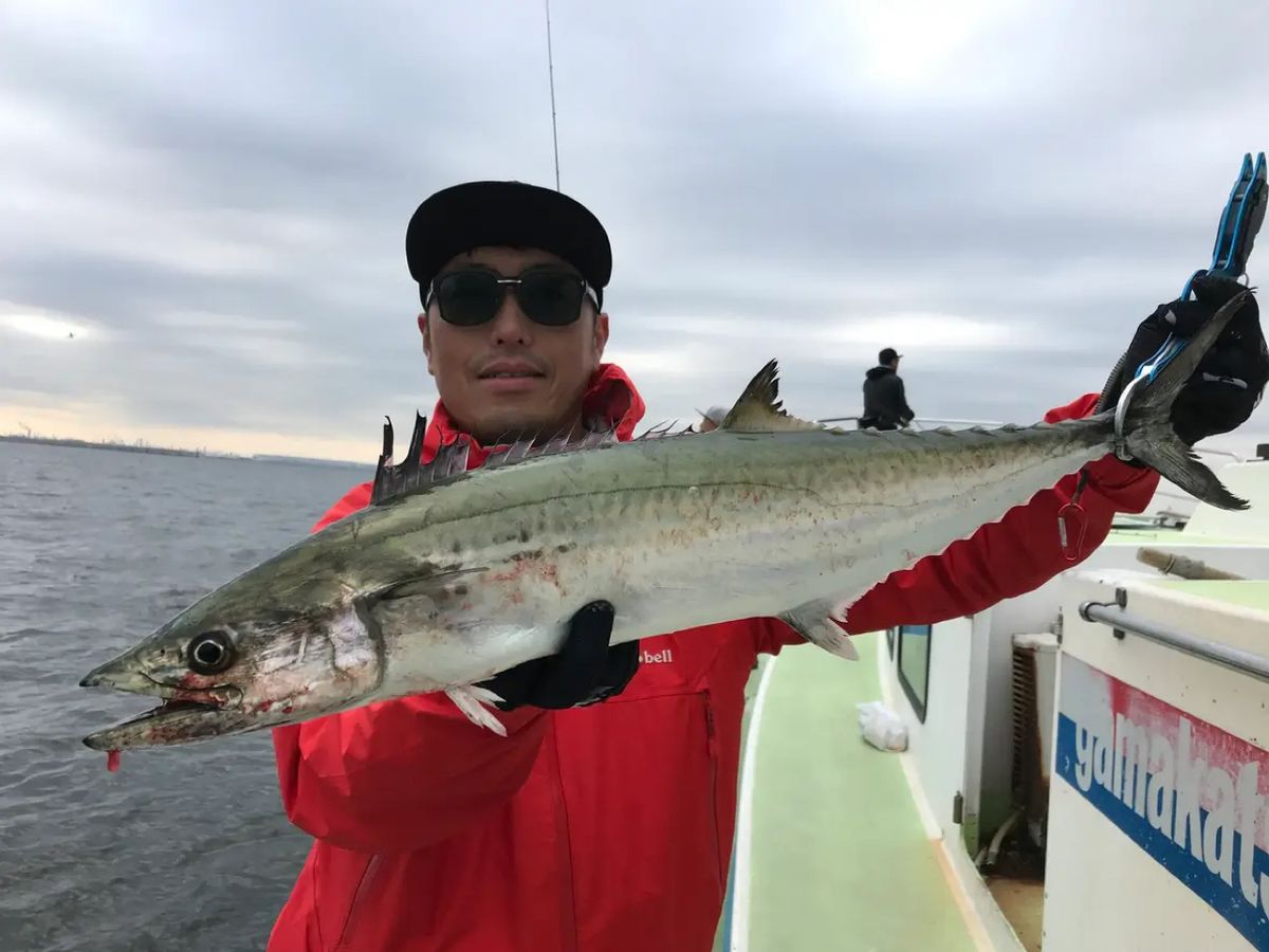 ぱぴです！さんの釣果 1枚目の画像