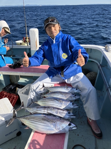 カツオの釣果