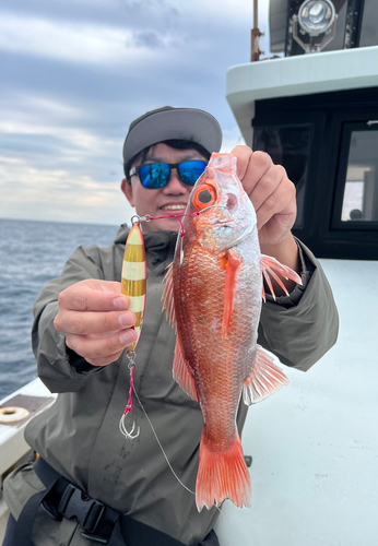 アカムツの釣果