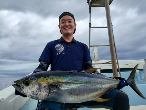 キハダマグロの釣果