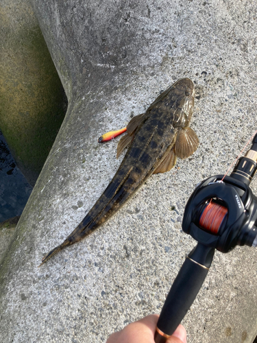 馬入ふれあい公園