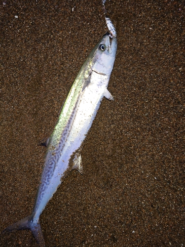 松任海浜公園