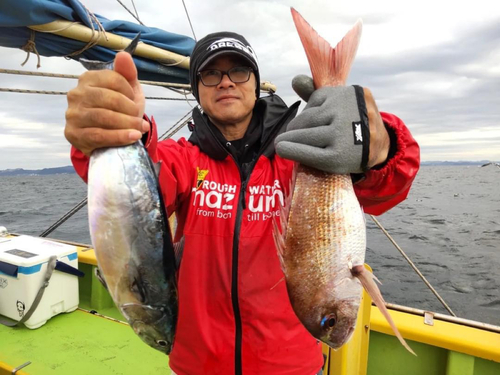 マダイの釣果