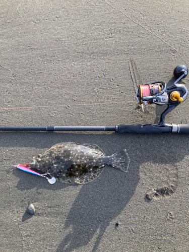 ソゲの釣果