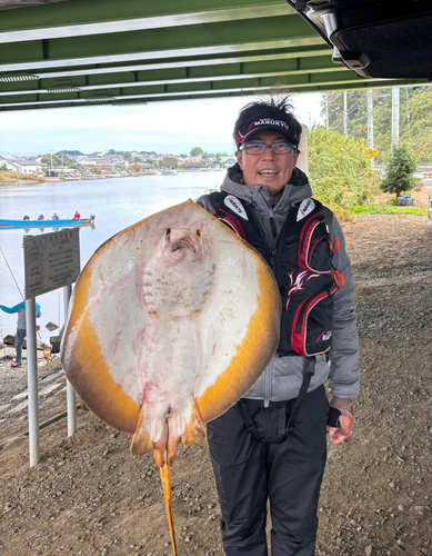 アカエイの釣果