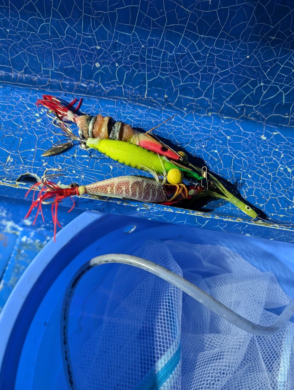 にゃぎだもさんの釣果 2枚目の画像