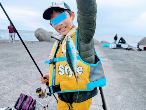 タカベの釣果