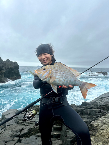 タマンの釣果