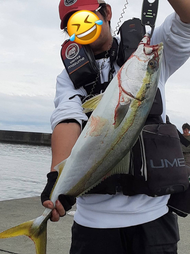 イナダの釣果