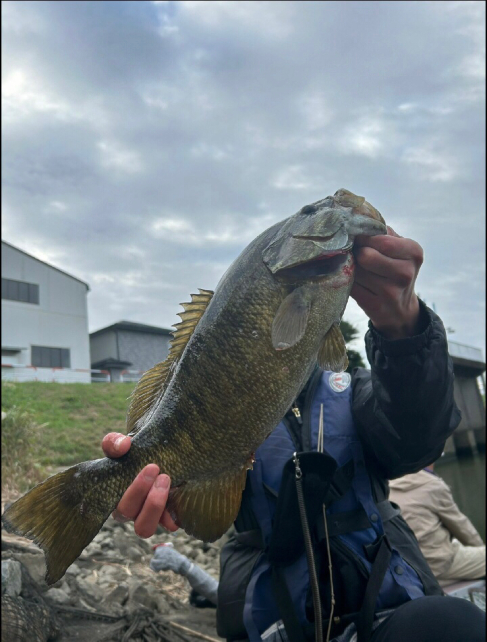 スモールマウスバス