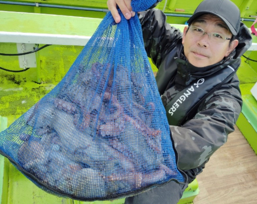 タコの釣果