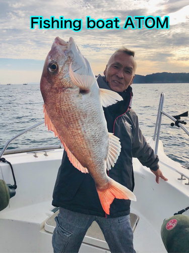 マダイの釣果