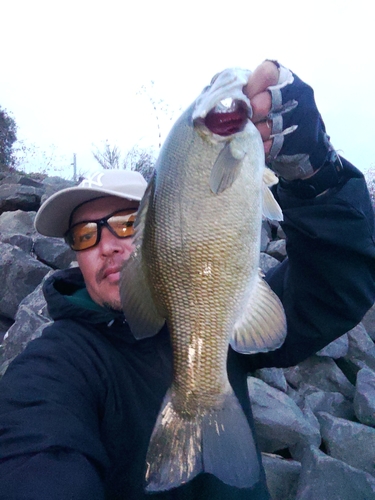 スモールマウスバスの釣果