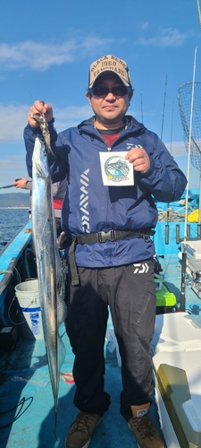 タチウオの釣果