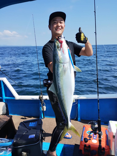 ハマチの釣果