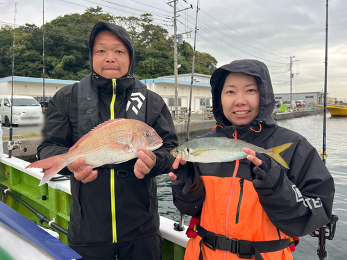 マアジの釣果