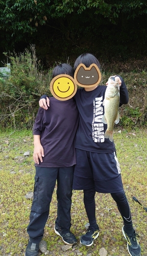 ブラックバスの釣果