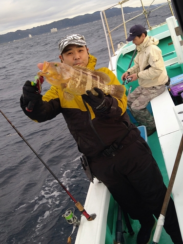 アオハタの釣果