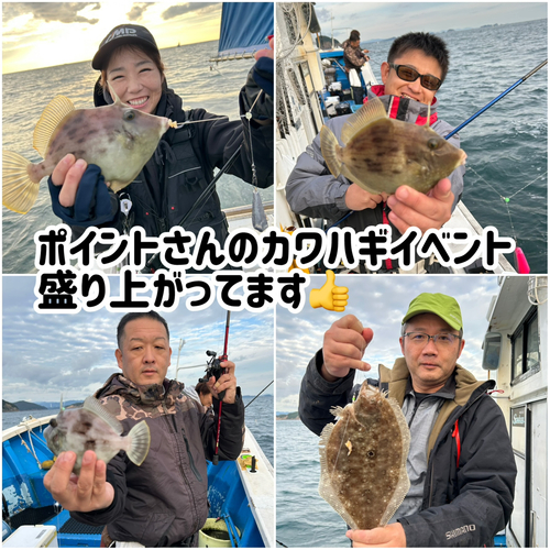 カワハギの釣果