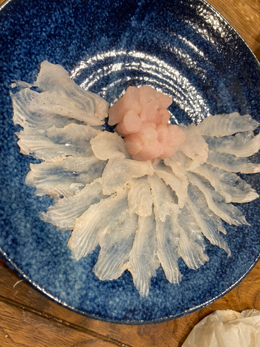 ハゼの釣果