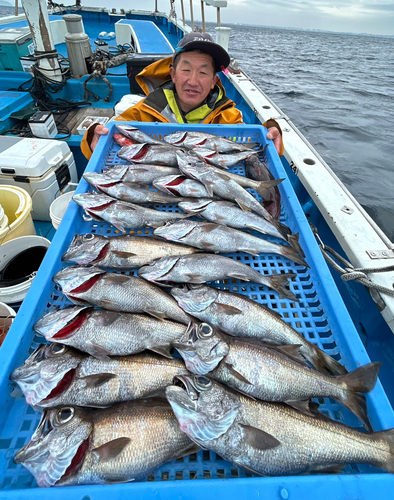 クロムツの釣果