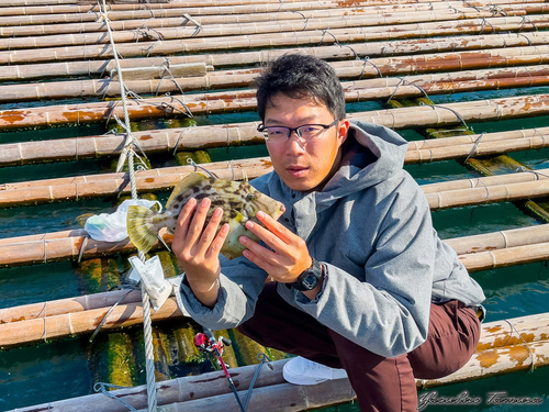 カワハギの釣果