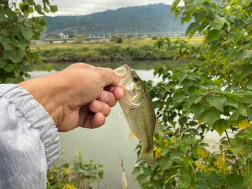 岐阜県南部